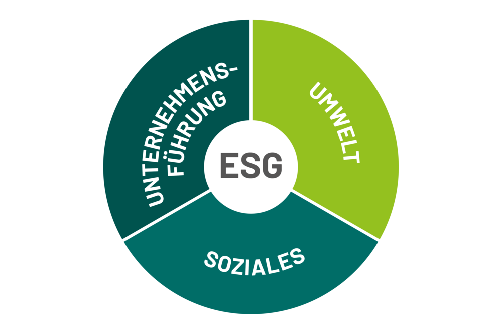 ound graphic in various shades of green. In the center is the word ESG, surrounded by the terms environment, social and corporate governance.