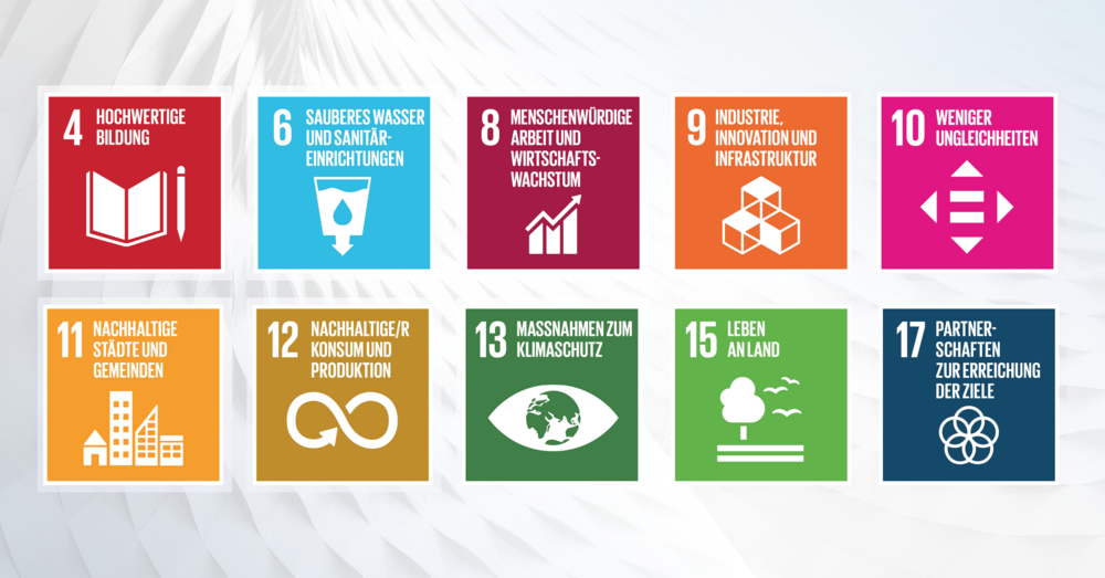 10 SDG Icons 